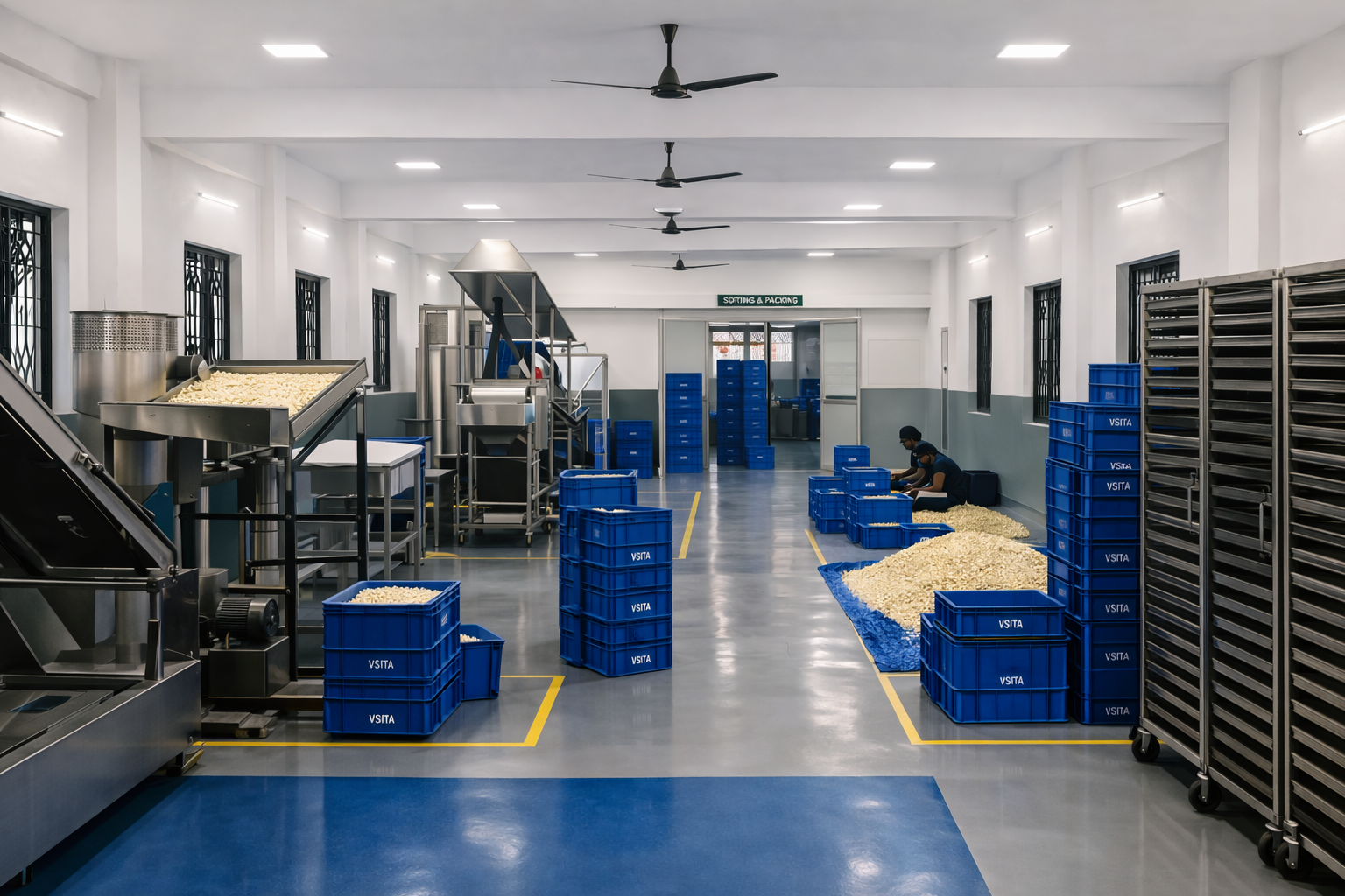 Cashew sorting area